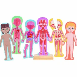 Online Puzzle aimanté Le corps humain Jeu Magnétique