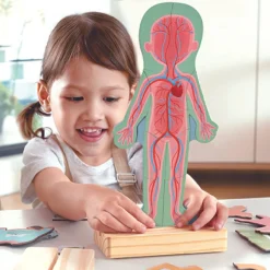 Online Puzzle aimanté Le corps humain Jeu Magnétique