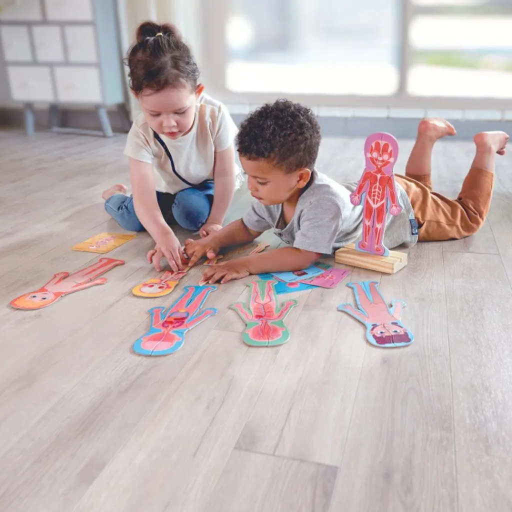 Online Puzzle aimanté Le corps humain Jeu Magnétique