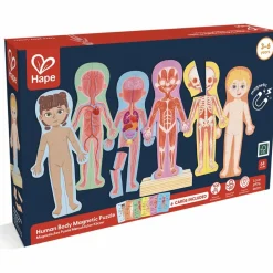 Online Puzzle aimanté Le corps humain Jeu Magnétique