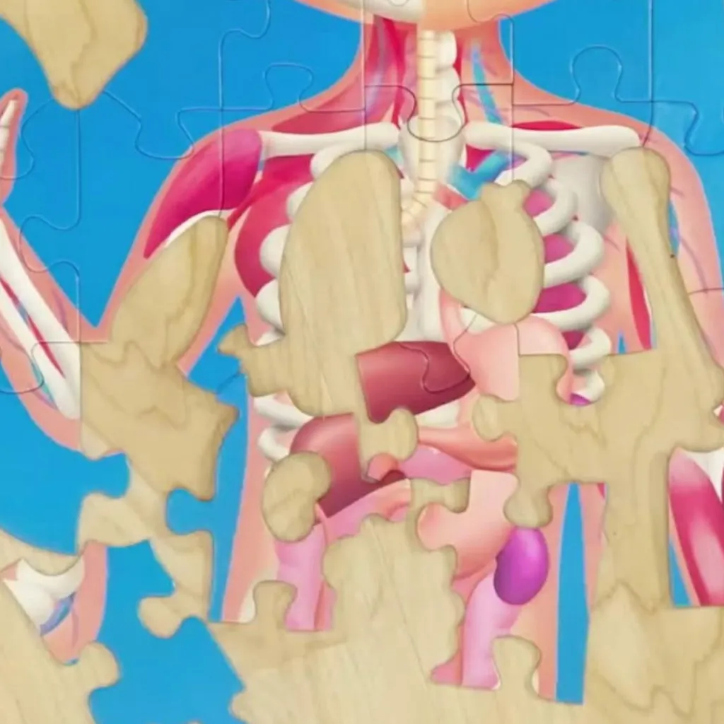 Sale Puzzle corps humain (60 pièces) Puzzle