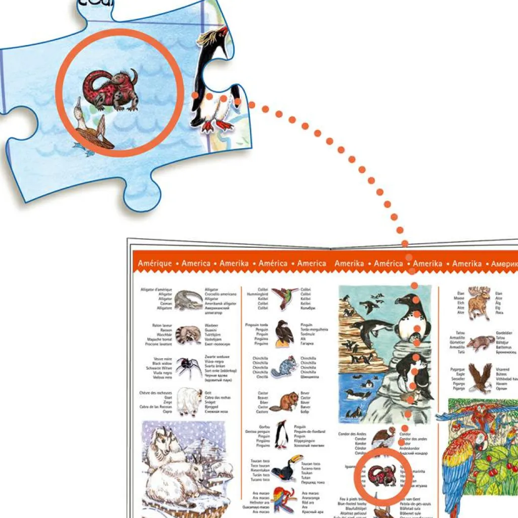 Hot Puzzle d'observation avec livret Les animaux du monde (100 pièces) Puzzle