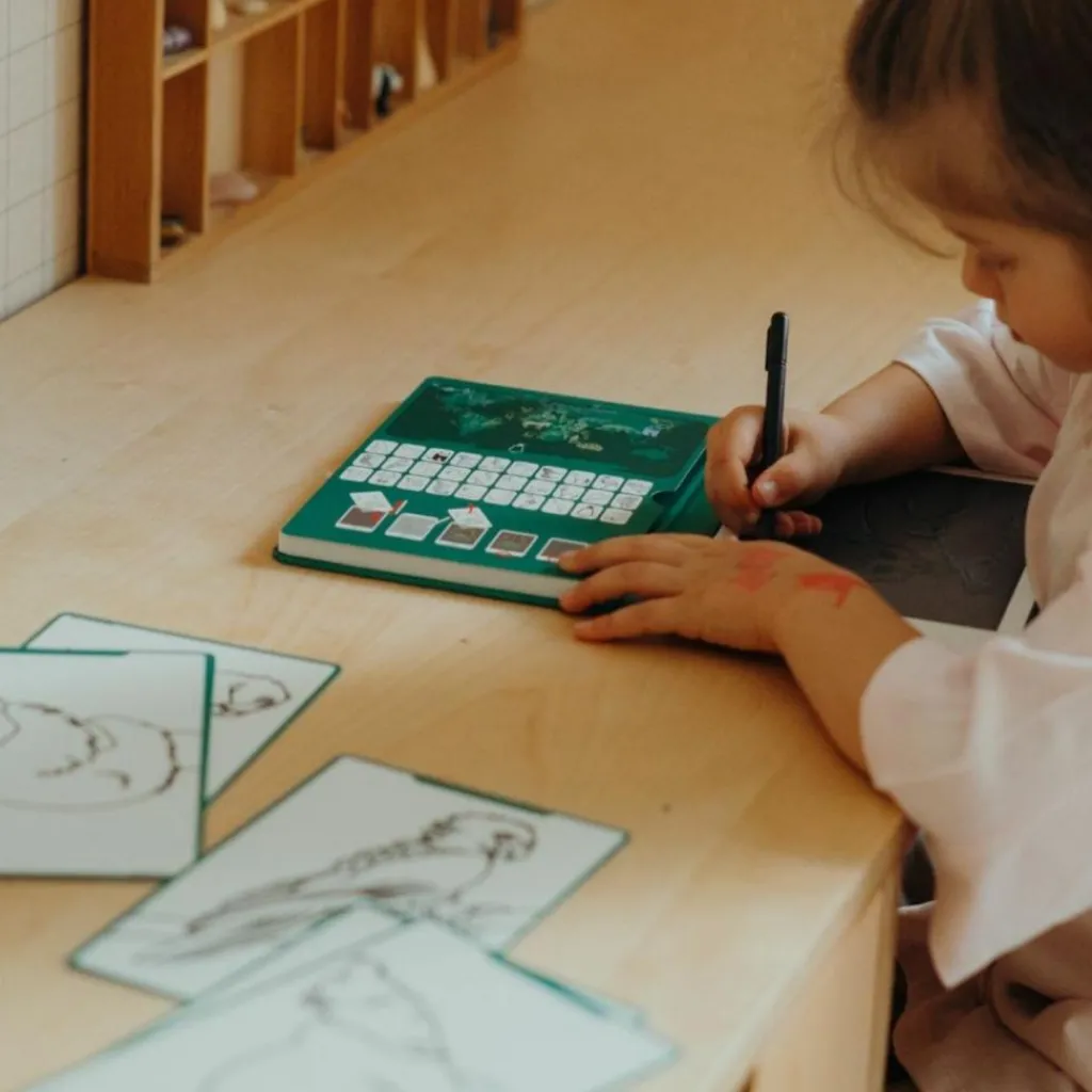 New Recharge KIDYDRAW-MINI Thème : Pirates Princesses et Animaux Sauvages Dessin Et Peinture