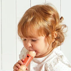 Online Set de 4 instruments Gioia Instrument De Musique