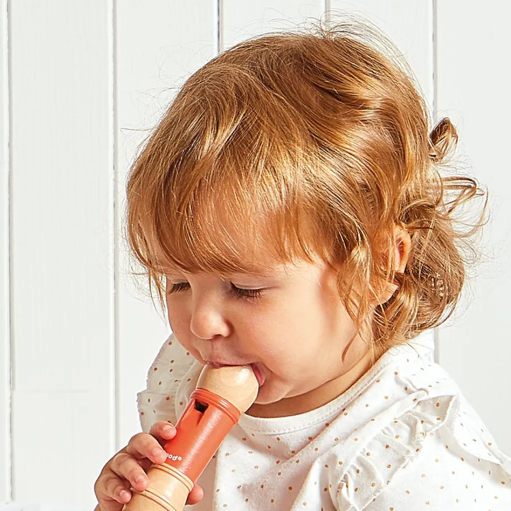 Online Set de 4 instruments Gioia Instrument De Musique