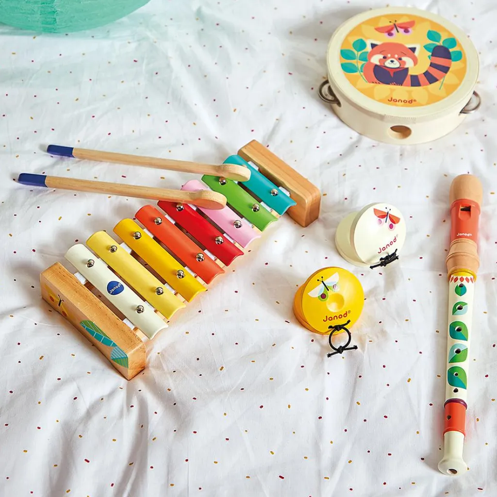 Online Set de 4 instruments Gioia Instrument De Musique