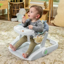 New Siège d'apprentissage Casi le Zèbre Centre D'Activités