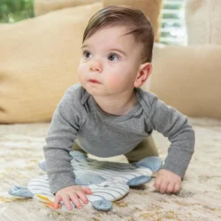 New Siège d'apprentissage Casi le Zèbre Centre D'Activités