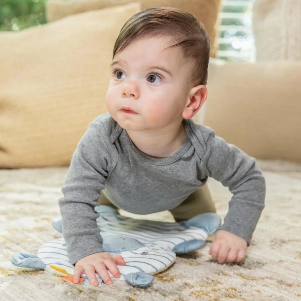 New Siège d'apprentissage Casi le Zèbre Centre D'Activités