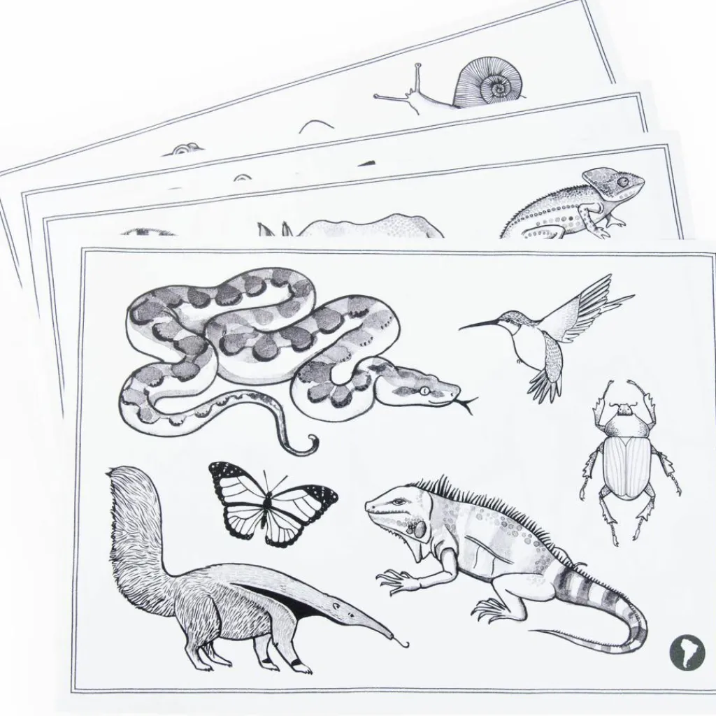 Outlet Tablette lumineuse Kidywolf Tout autour du monde Dessin Et Peinture