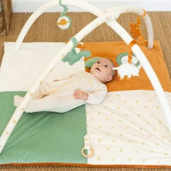 Best Tapis d'éveil avec arches Diplododo (95 x 60 cm) Tapis D'Éveil