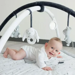 Online Tapis d'éveil avec arches Martin et ses copains Tapis D'Éveil