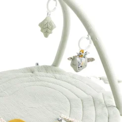 Tapis d'éveil avec arches Promenons-nous (78 x 78 x 56 cm) Tapis D'Éveil