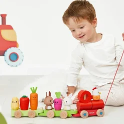 Sale Train d'activités à tirer Ferme Jouet À Tirer / Pousser