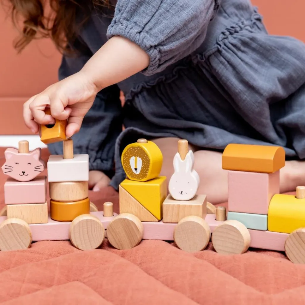 Discount Train en bois Mrs. Cat Jeu De Construction