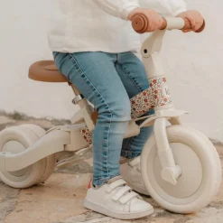 Online Tricycle 4 en 1 Sunny Flowers Tricycle
