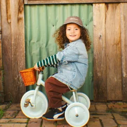 Online Tricycle évolutif Trike Forest Tricycle