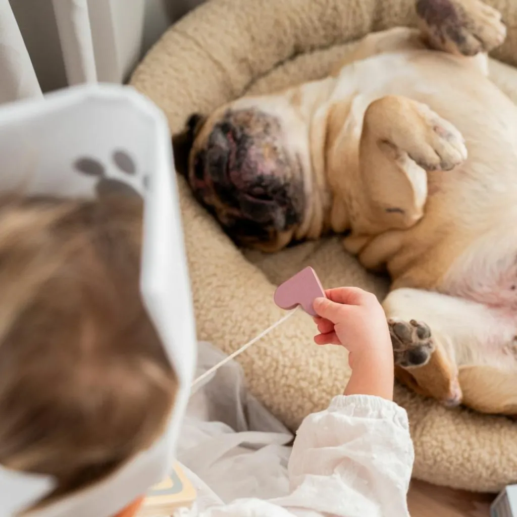 Best Valise vétérinaire Docteur / Vétérinaire