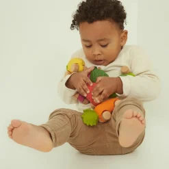 Clearance Voiture et jouet de dentition Cathy la carotte Jouet / Anneau De Dentition