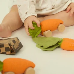 Clearance Voiture et jouet de dentition Cathy la carotte Jouet / Anneau De Dentition